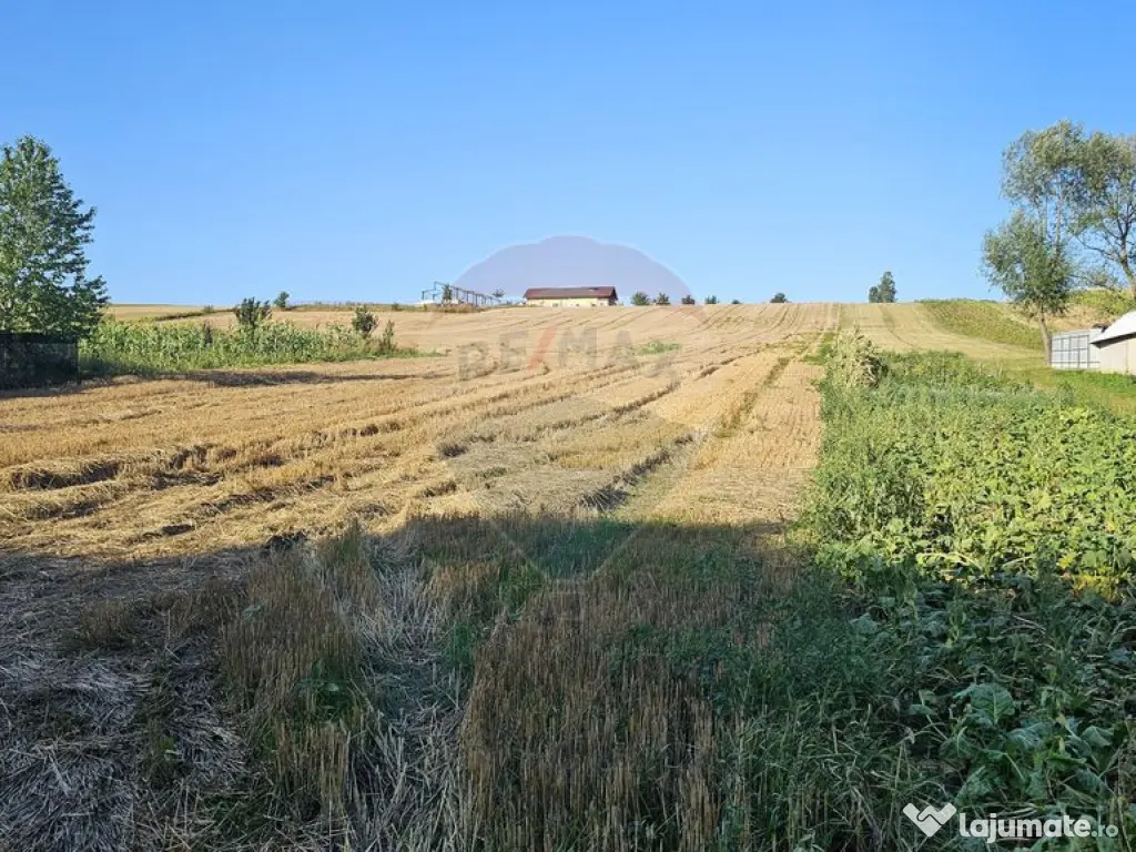 Teren intravilan, 7500 mp in Moara Carp / Strada Eternita...