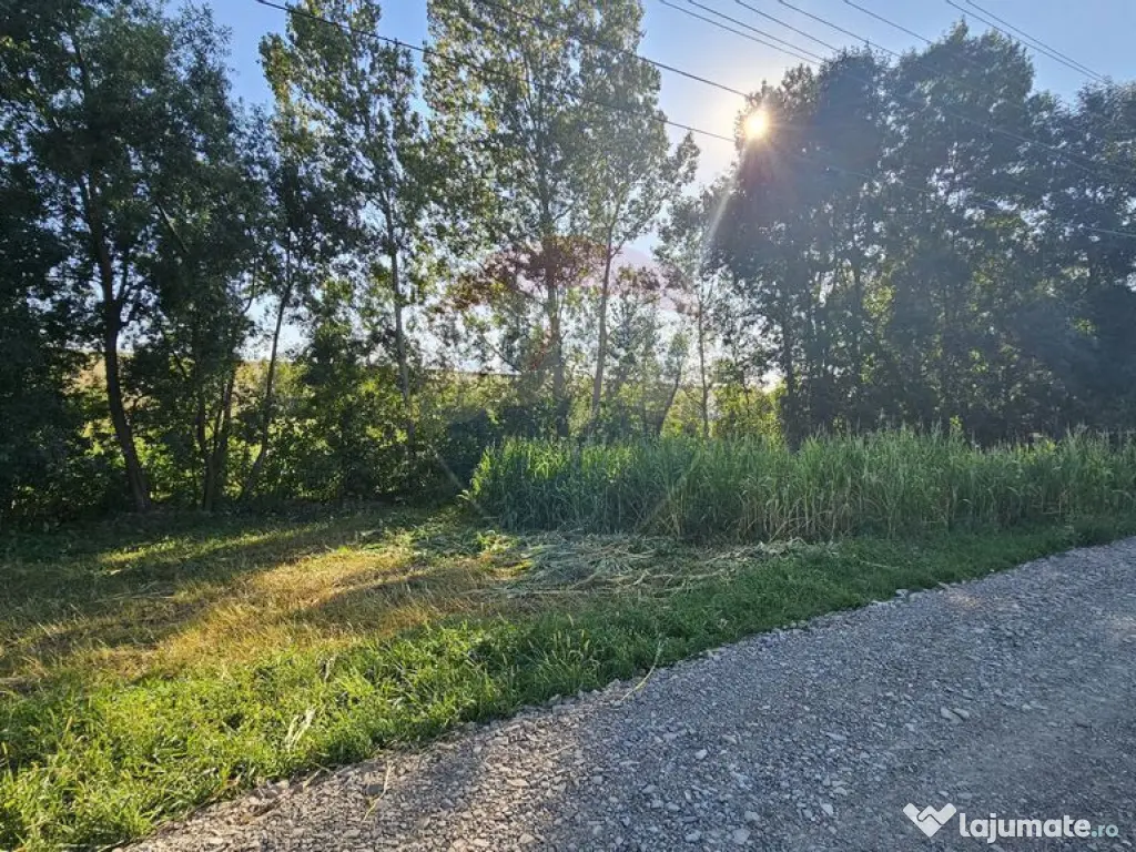 Teren intravilan, 7500 mp in Moara Carp / Strada Eternita...