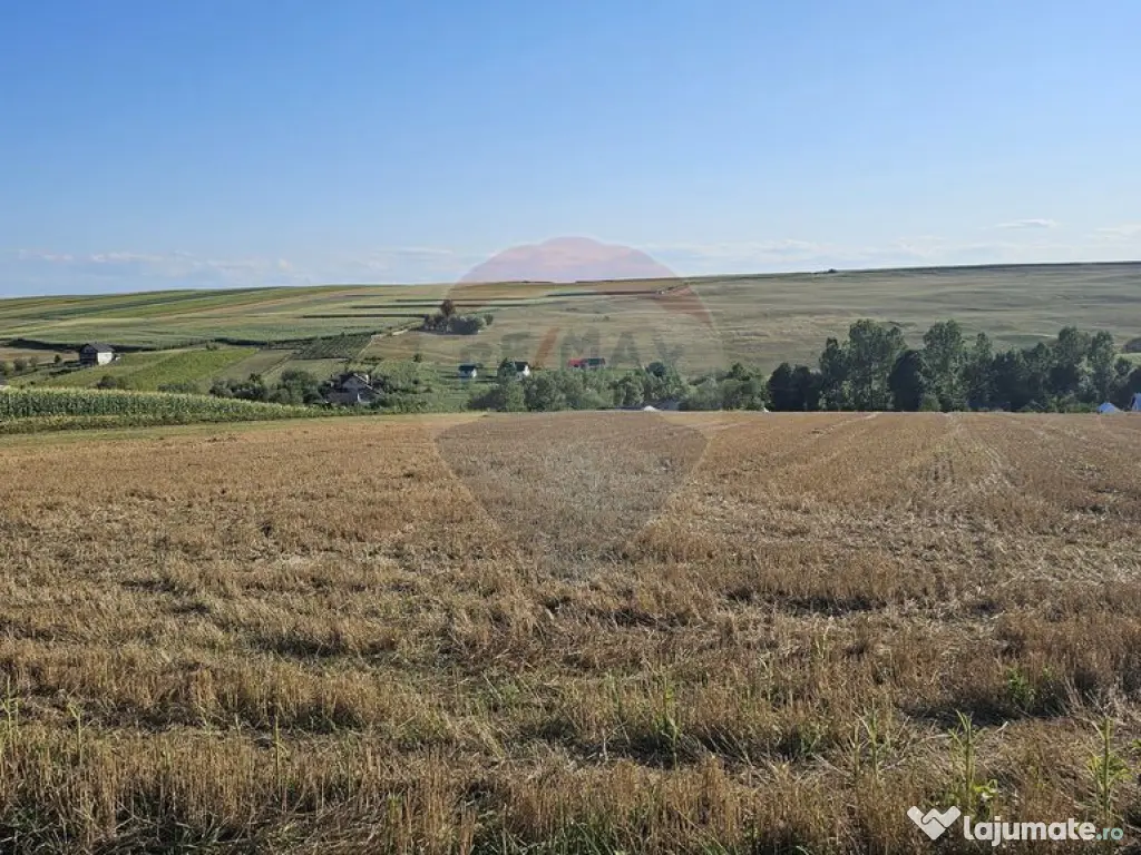 Teren intravilan, 7500 mp in Moara Carp / Strada Eternita...