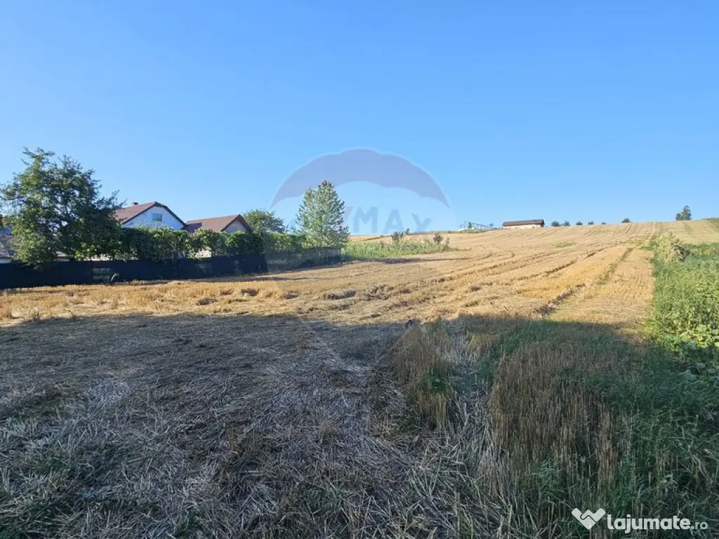 Teren intravilan, 7500 mp in Moara Carp / Strada Eternita...