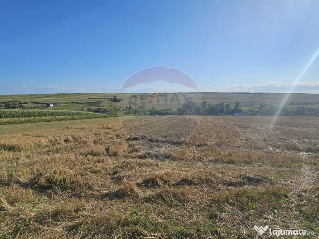 Teren intravilan, 7500 mp in Moara Carp / Strada Eternita...