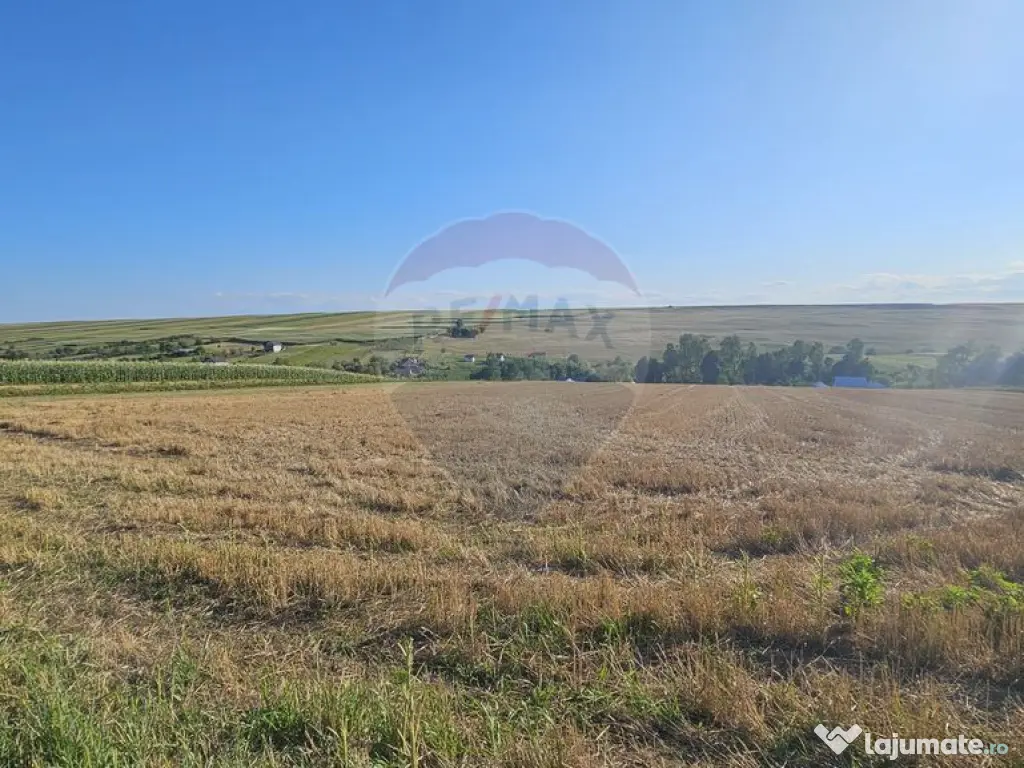 Teren intravilan, 7500 mp in Moara Carp / Strada Eternita...