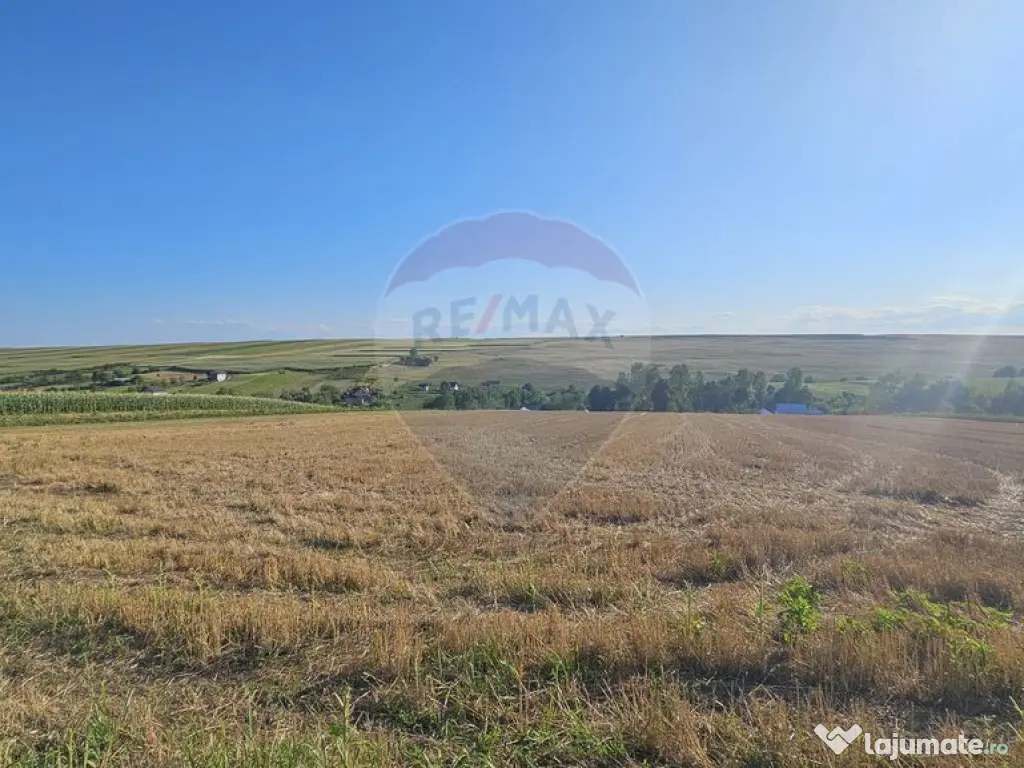 Teren intravilan, 7500 mp in Moara Carp / Strada Eternita...