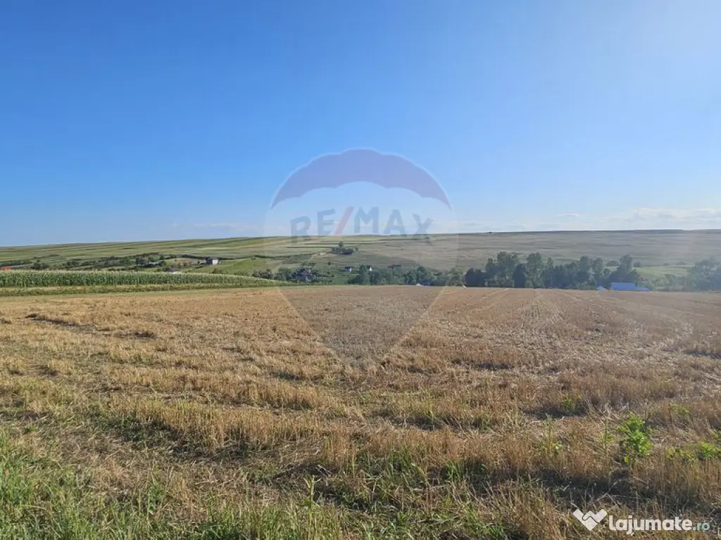 Teren intravilan, 7500 mp in Moara Carp / Strada Eternita...