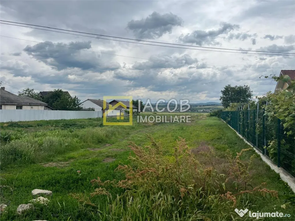 Teren intravilan Lilieci, Hemeius, Bacau