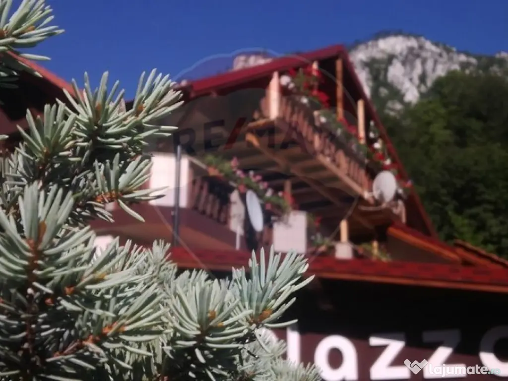 De vanzare / Pensiunea El Plazza Baile Herculane 