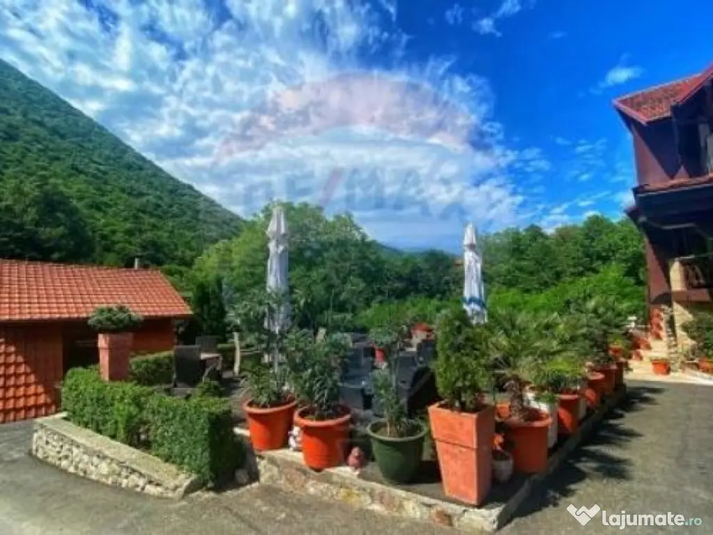 De vanzare / Pensiunea El Plazza Baile Herculane 