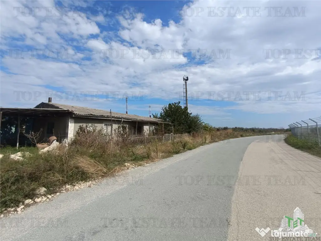 TEREN 5000,MIDIA PORT 