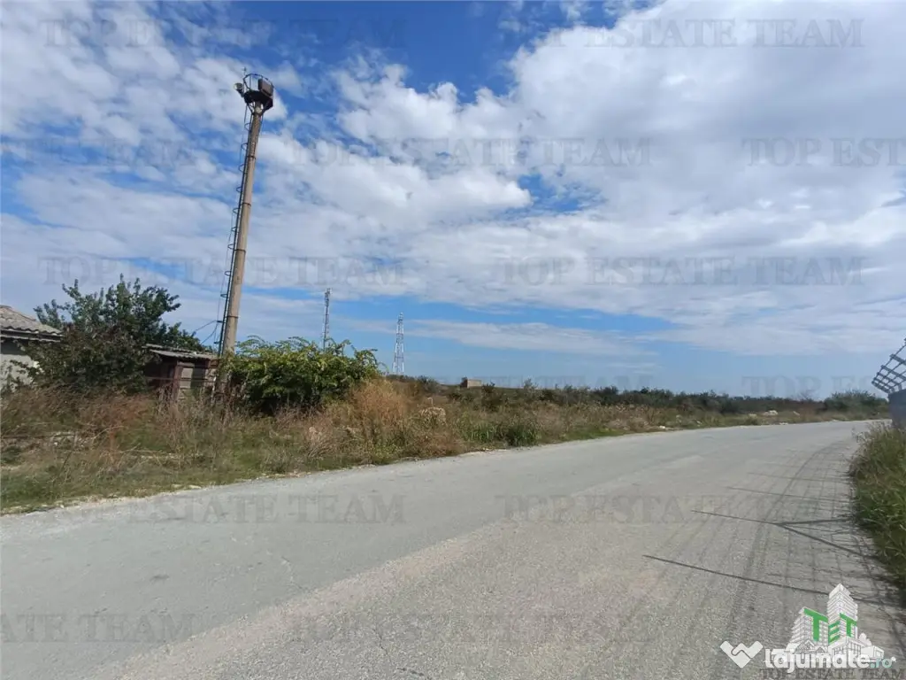 TEREN 5000,MIDIA PORT 