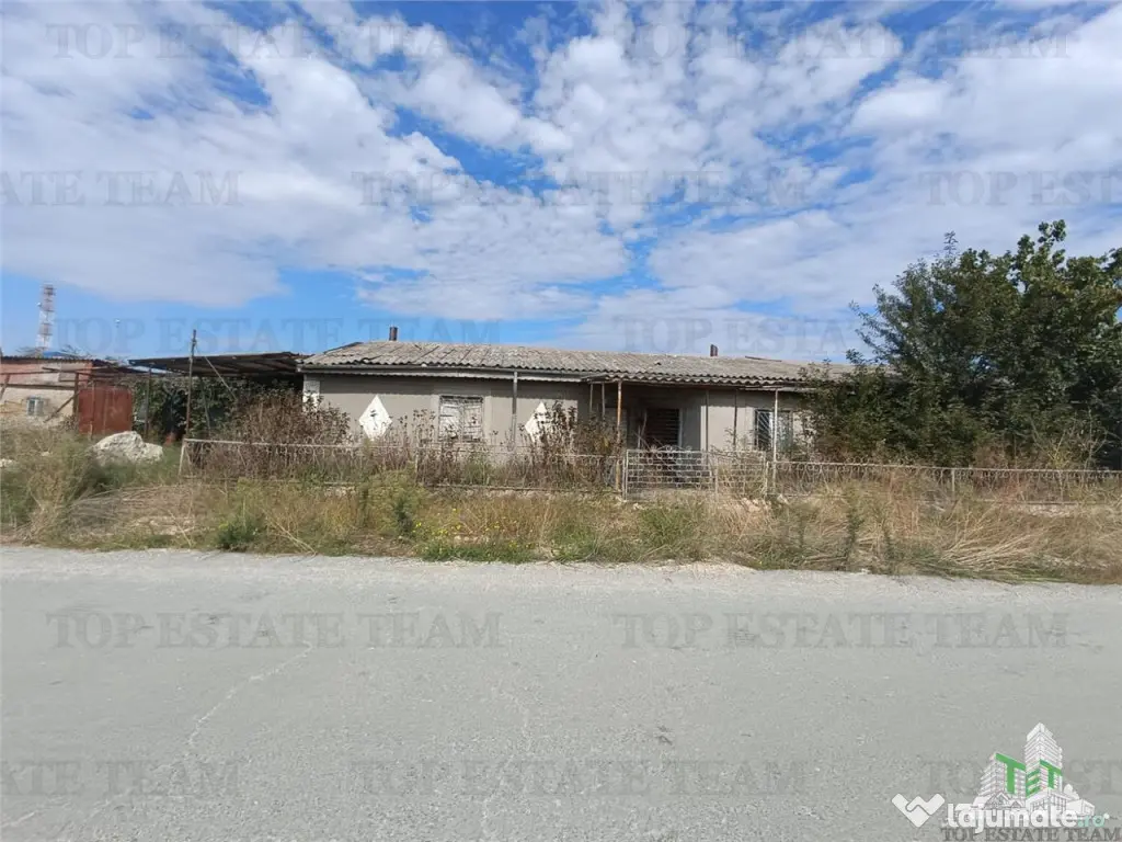 TEREN 5000,MIDIA PORT 