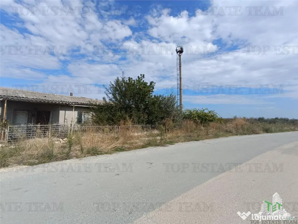 TEREN 5000,MIDIA PORT 