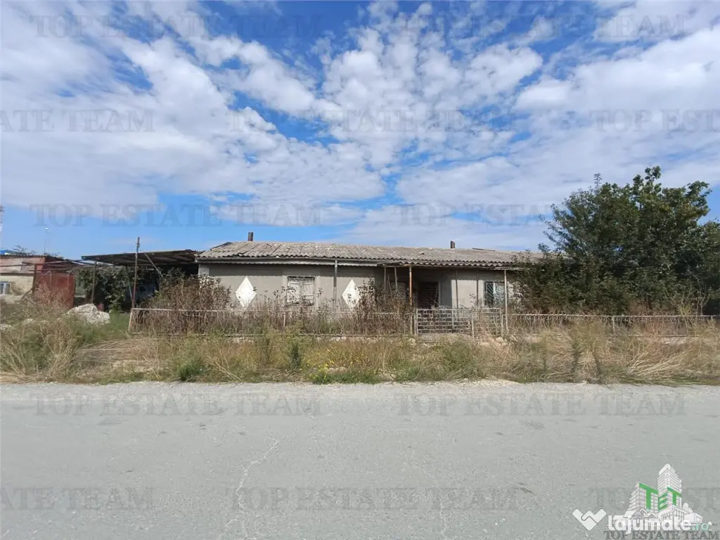 TEREN 5000,MIDIA PORT 