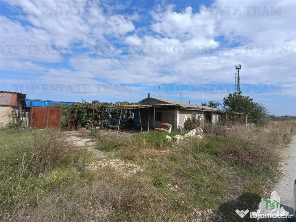 TEREN 5000,MIDIA PORT 