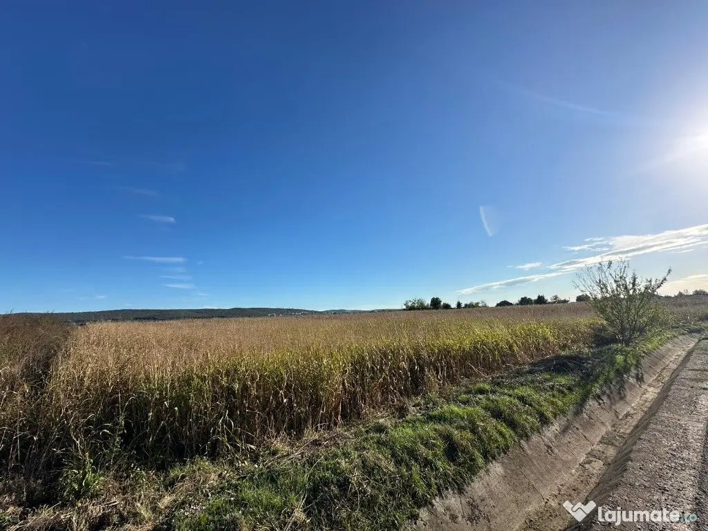 C/1508 De vânzare teren în Mureș - Sântana de Mureș