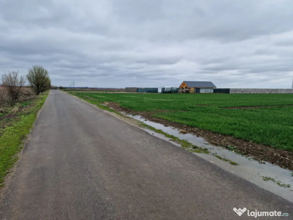 TEREN DE VANZARE DRAGOMIRESTI VALE 