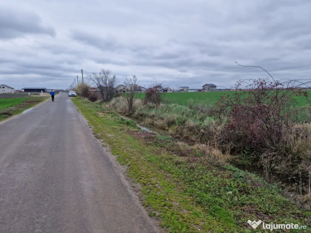 TEREN DE VANZARE DRAGOMIRESTI VALE 