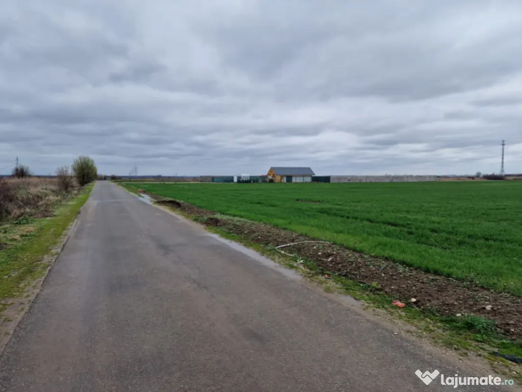 TEREN DE VANZARE DRAGOMIRESTI VALE 