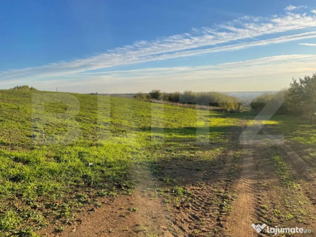 Teren Intravilan - Oradea