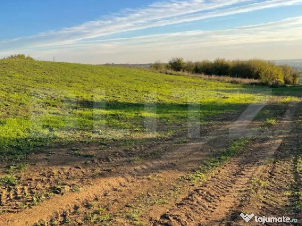 Teren Intravilan - Oradea