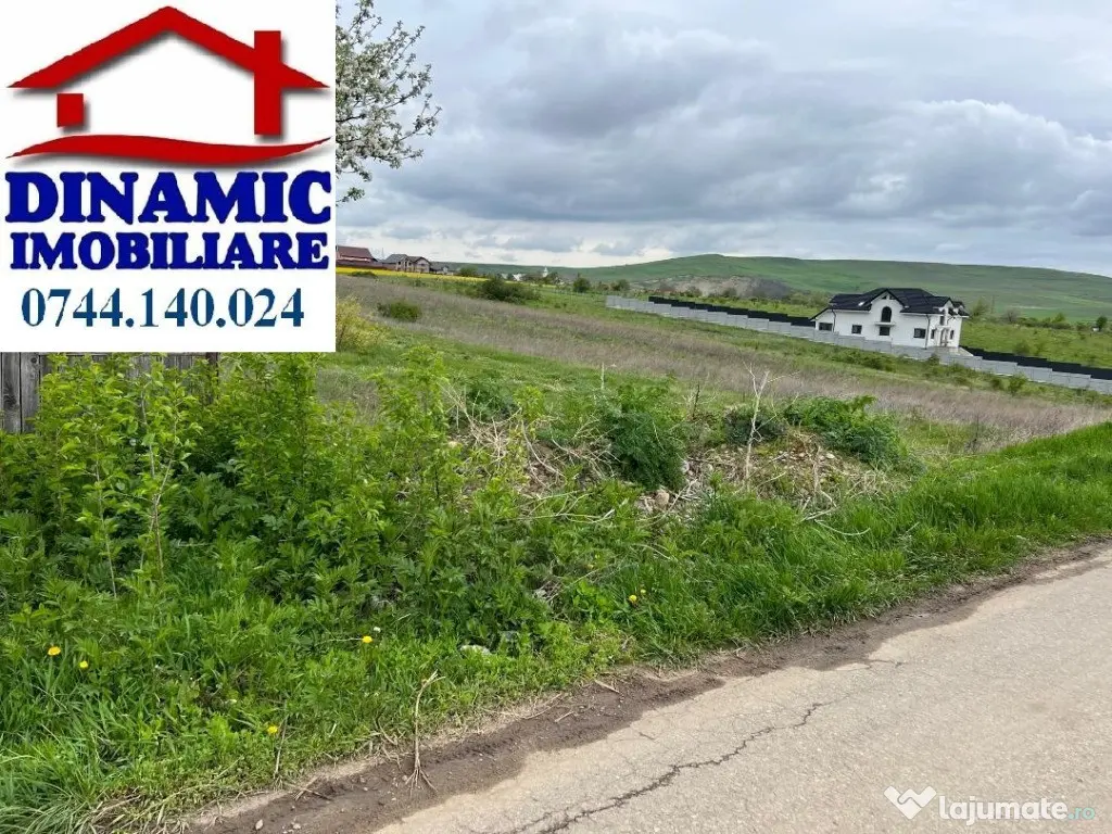 Teren 5000 mp zona Fermelor, str. Plantelor 