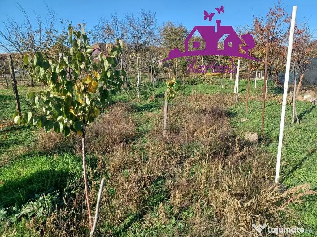 Casa la curte comuna in localitatea Nojorid 