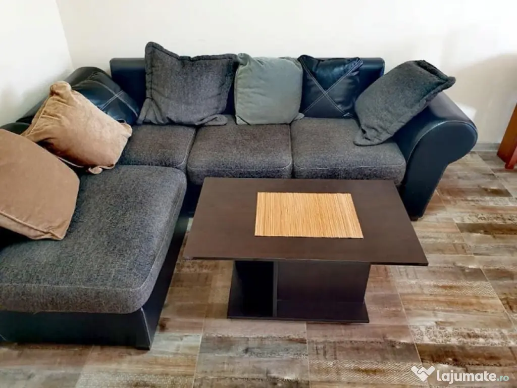 Aparament cu 2 camere in zona Buziasului