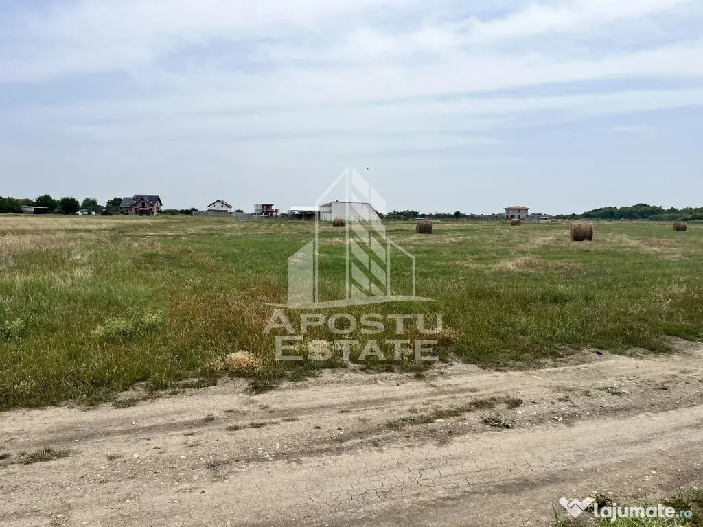 Teren intravilan pentru hala 1518 Remetea Mare in apropie...