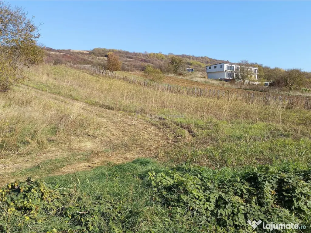 Teren Intravilan langa Dunare! Disponibil la 15 Euro/mp 