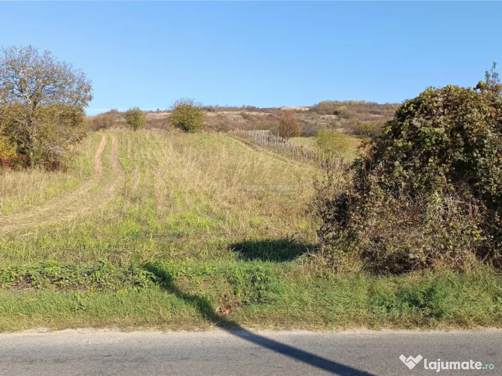 Teren Intravilan langa Dunare! Disponibil la 15 Euro/mp 