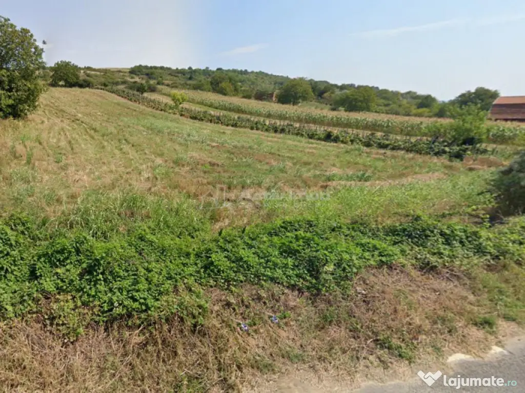 Teren Intravilan langa Dunare! Disponibil la 15 Euro/mp 