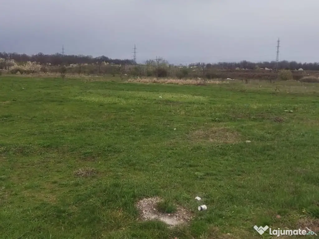 Teren pretabil hala industriala/rezidential Catelu 