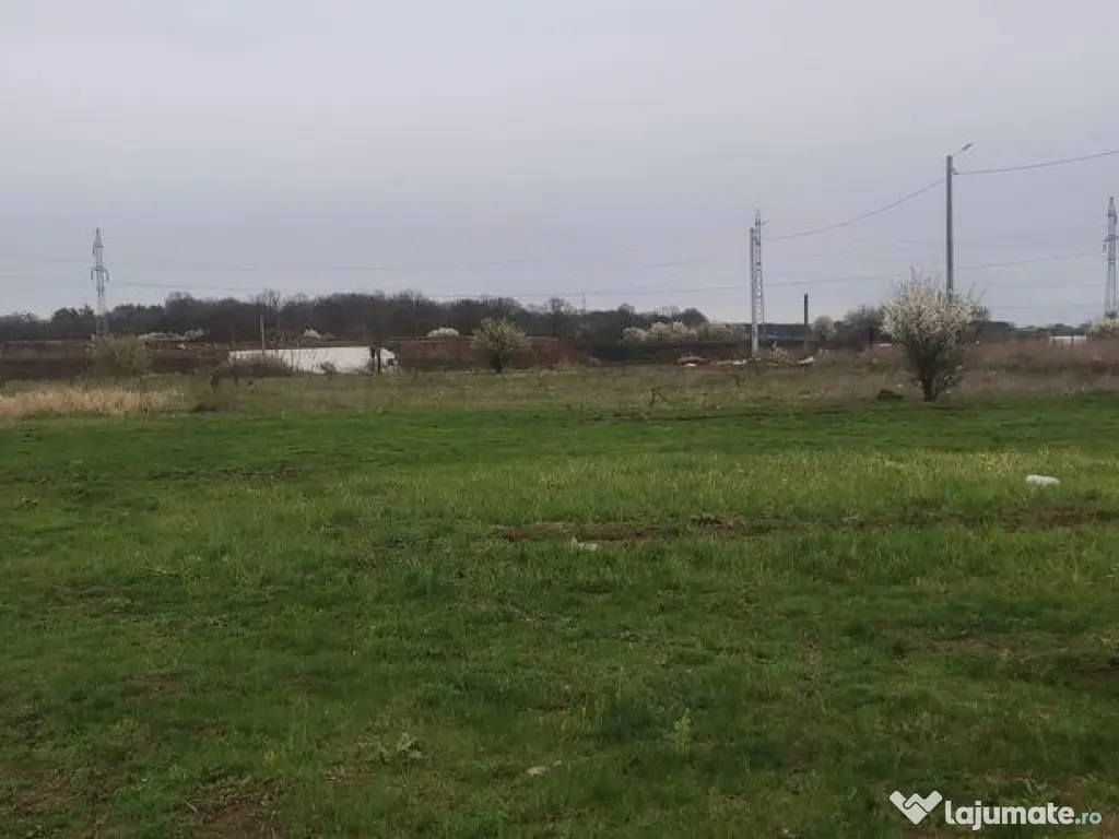 Teren pretabil hala industriala/rezidential Catelu 