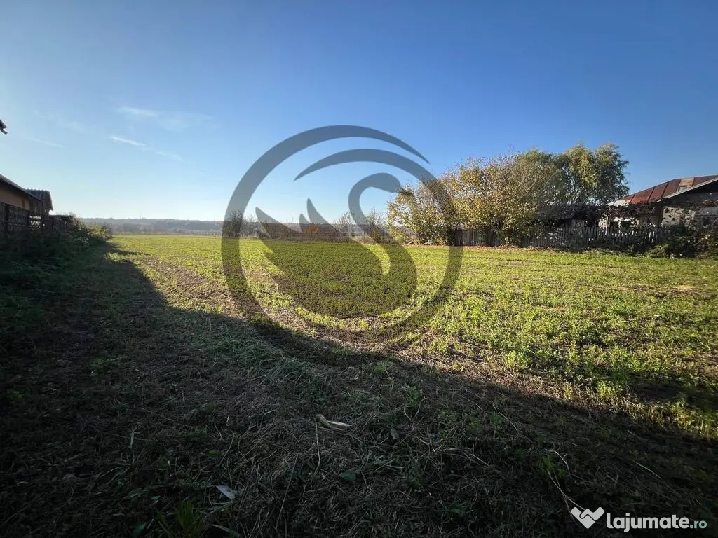 Teren intravilan de vanzare | 12.650 mp | Ghirdoveni, | C... 