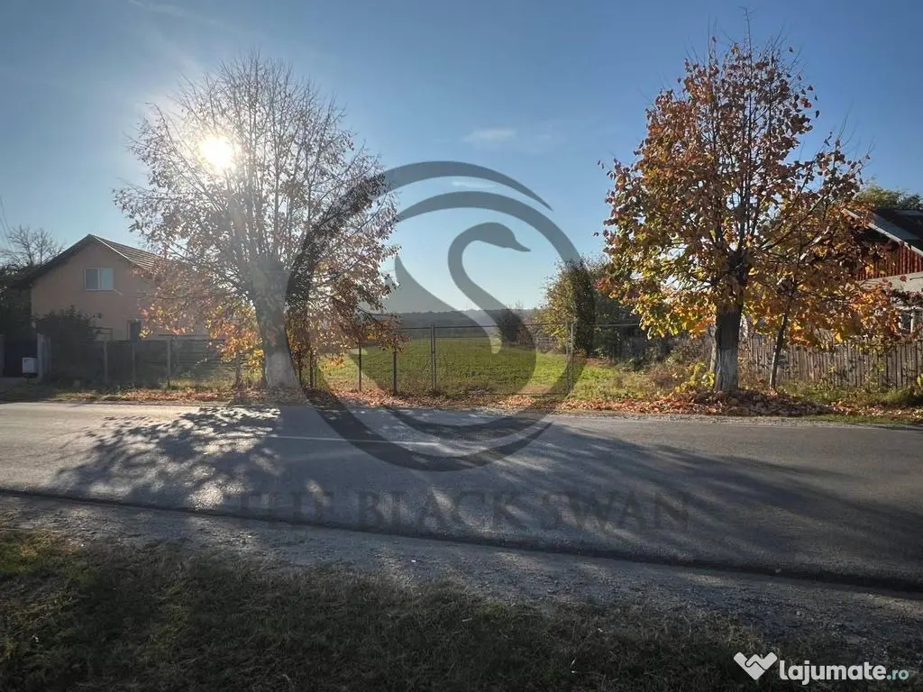 Teren intravilan de vanzare | 12.650 mp | Ghirdoveni, | C... 