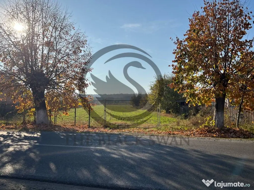 Teren intravilan de vanzare | 12.650 mp | Ghirdoveni, | C... 