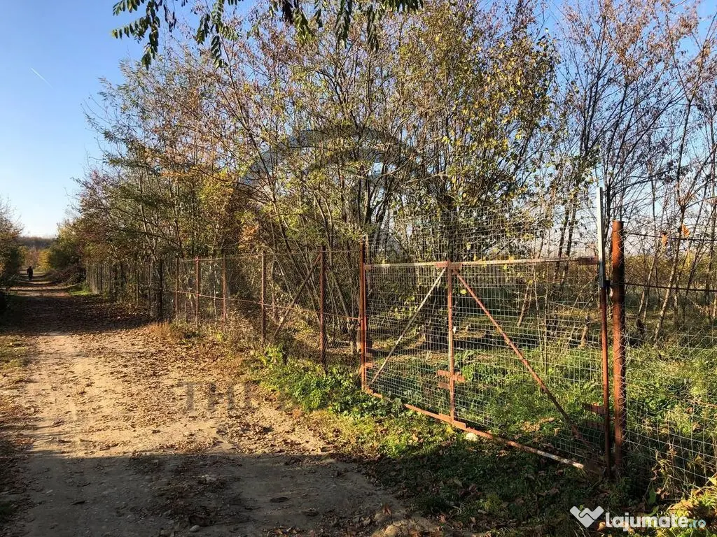Teren intravilan de vanzare | 12.650 mp | Ghirdoveni, | C... 