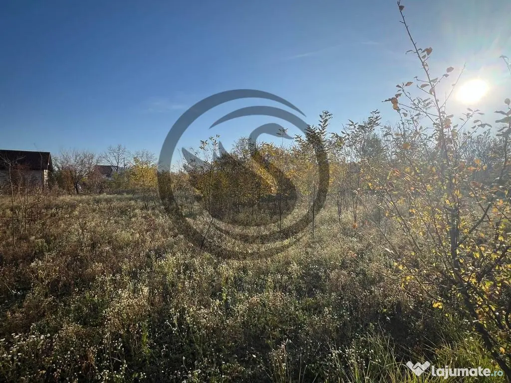 Teren intravilan de vanzare | 12.650 mp | Ghirdoveni, | C... 