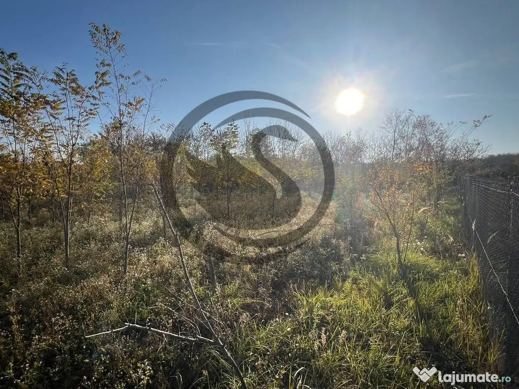 Teren intravilan de vanzare | 12.650 mp | Ghirdoveni, | C... 