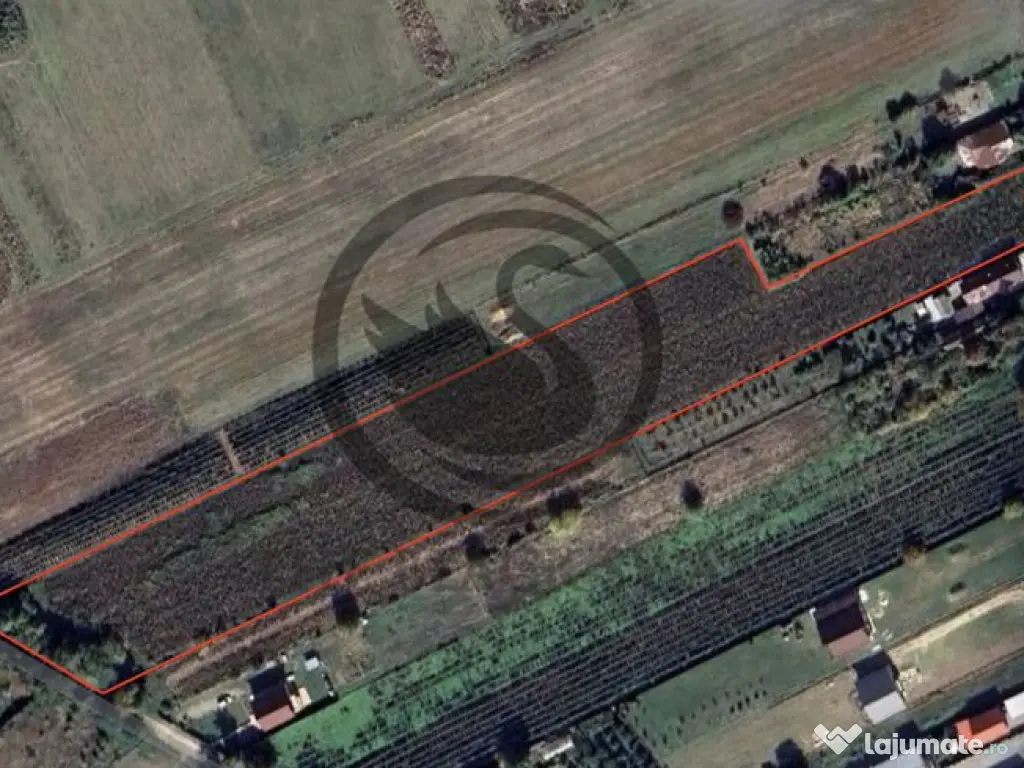 Teren intravilan de vanzare | 12.650 mp | Ghirdoveni, | C... 