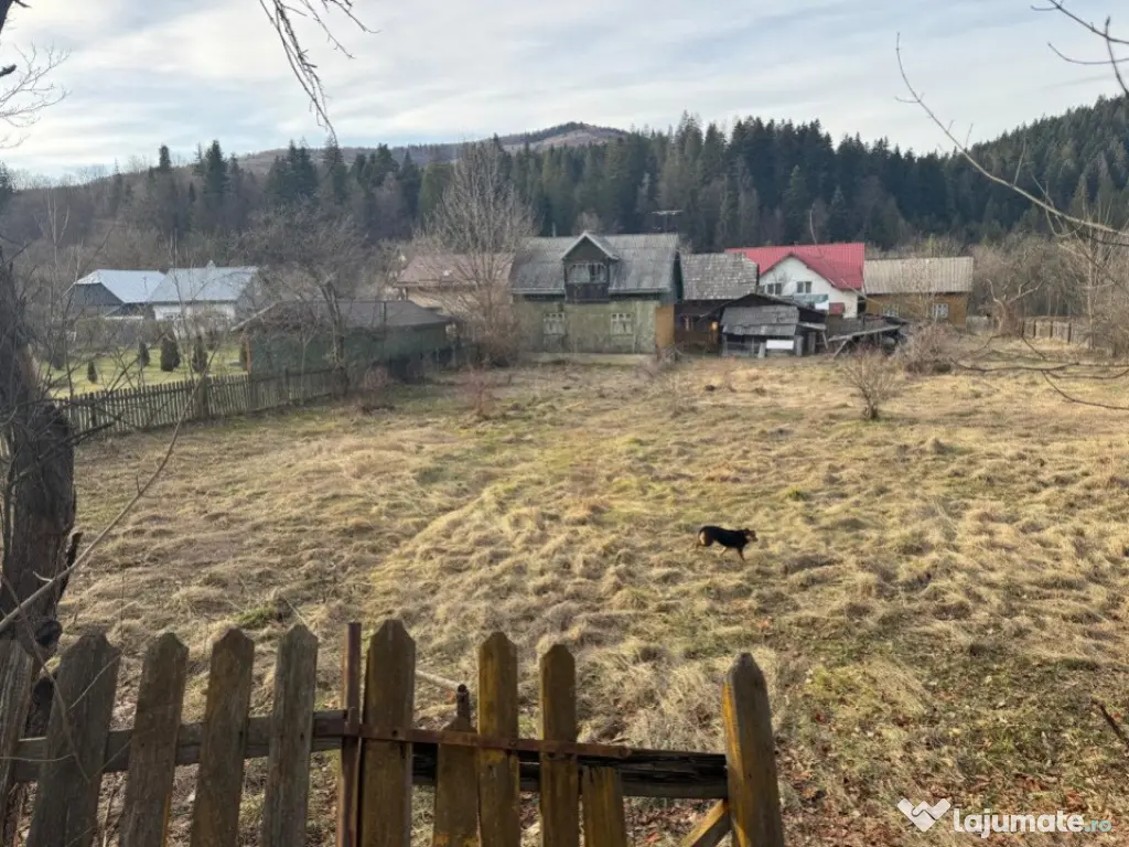 Casa batraneasca , teren 2064mp, Sucevita