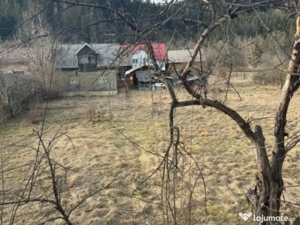 Casa batraneasca , teren 2064mp, Sucevita