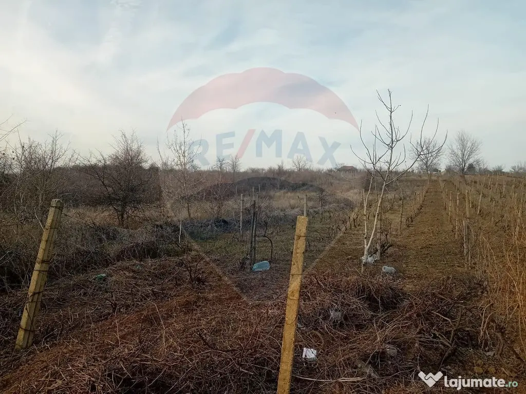 Teren 2,301mp Carcea / Aleea Tarlaua 37 Parcela 63 