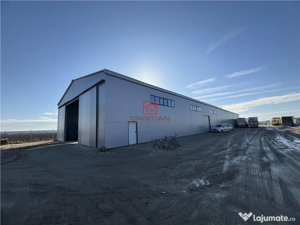 Depozit/hala/spatiu industrial Bolintin Deal - A1 - KM23 