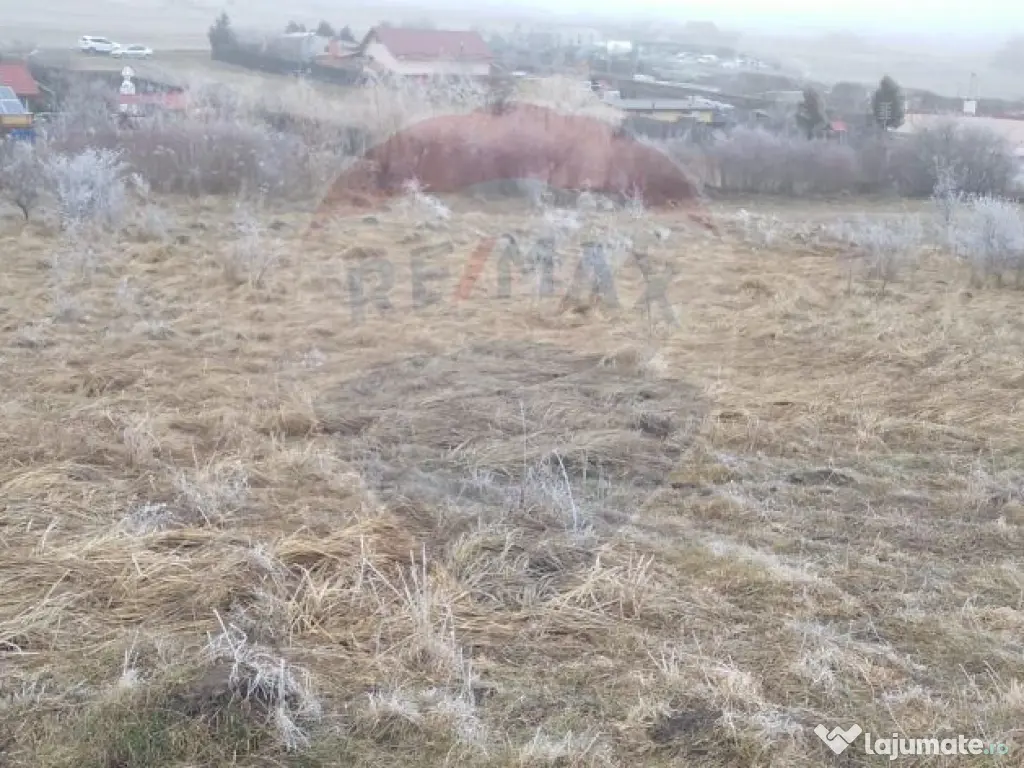 Teren 2,269 mp Sibiu iesirea spre Daia