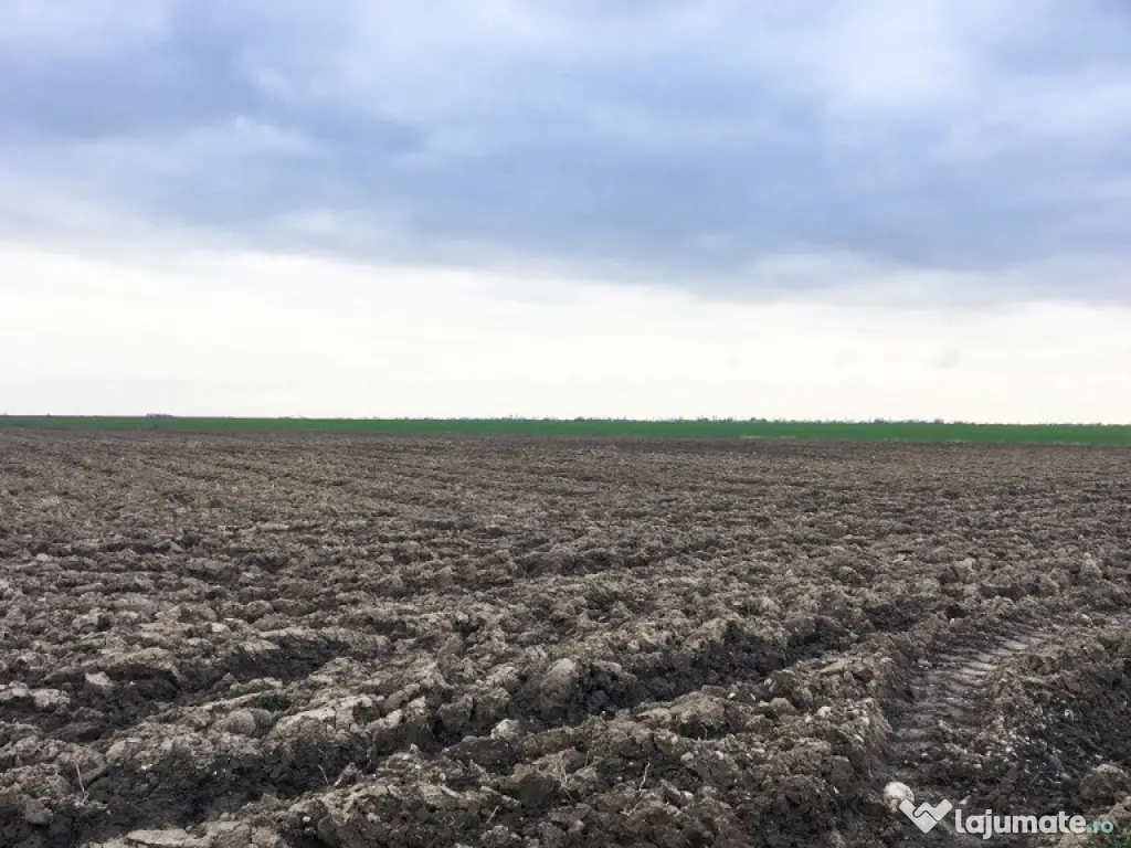 Teren Extravilan Costesti Arges