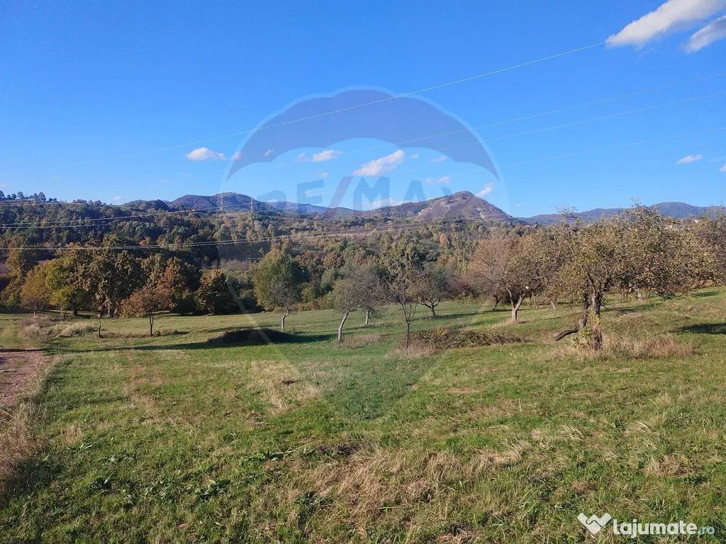 Teren zona superba Șișești 