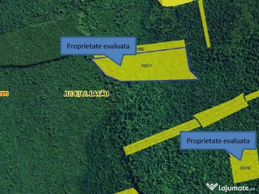 Teren padure, cota de 1/48 Horgesti, ID: R2325871 