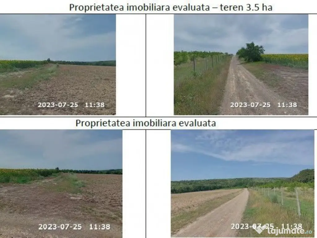 Teren padure, cota de 1/48 Horgesti, ID: R2325871 