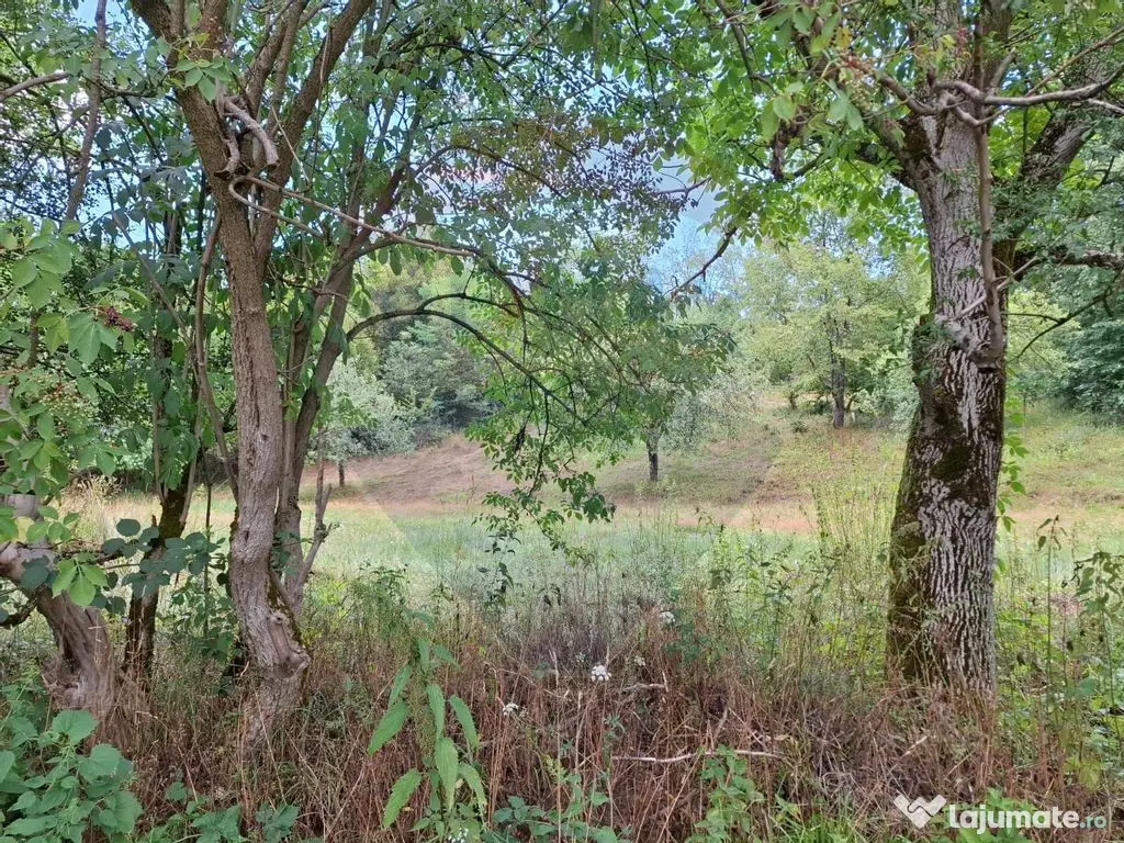 Teren construibil de vânzare 990mp în Barzava, județul...