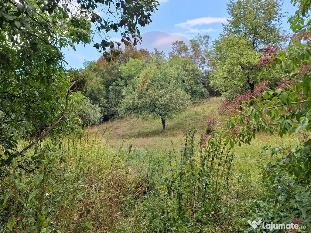 Teren de vânzare 990mp în Barzava, județul Arad